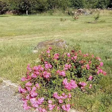 Domaine De Gentilly Saint-Maurice-lès-Charencey