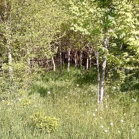 Domaine De Gentilly فندق مبيت وإفطار Saint-Maurice-lès-Charencey