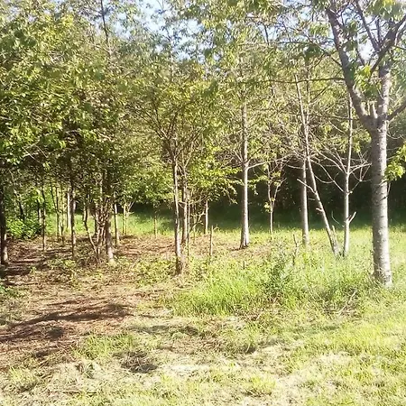 Bed and Breakfast Domaine De Gentilly 3*