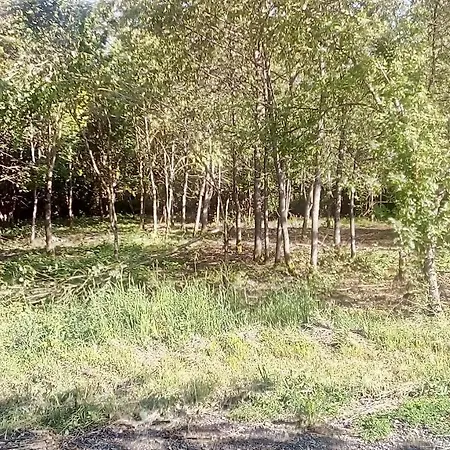 Frühstückspension Domaine De Gentilly Saint-Maurice-lès-Charencey