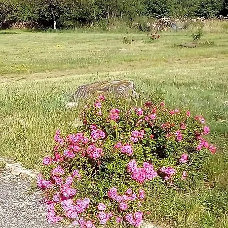 Domaine De Gentilly B&B