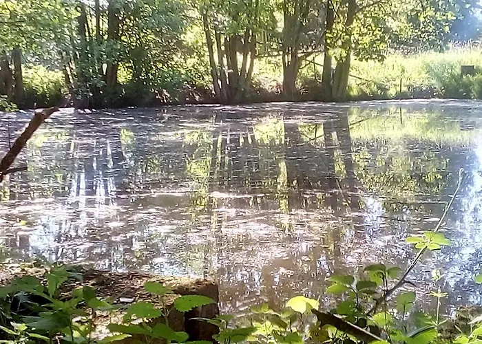 Bed and breakfast Domaine De Gentilly