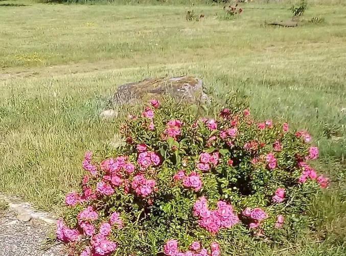 Domaine De Gentilly Saint-Maurice-lès-Charencey