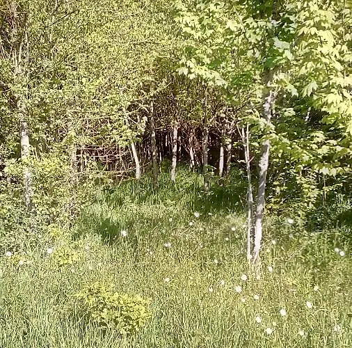 Domaine De Gentilly Bed & Breakfast Saint-Maurice-lès-Charencey