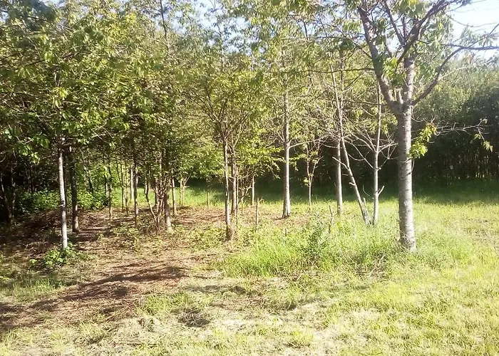 Bed and breakfast Domaine De Gentilly 3*