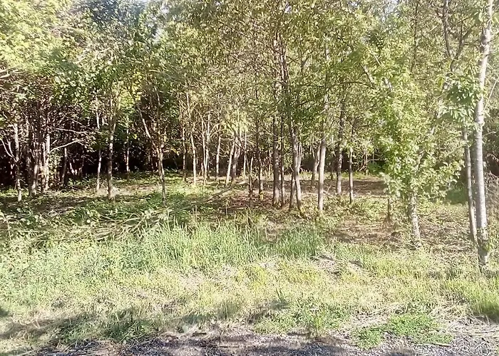 Bed & Breakfast Domaine De Gentilly Saint-Maurice-les-Charencey